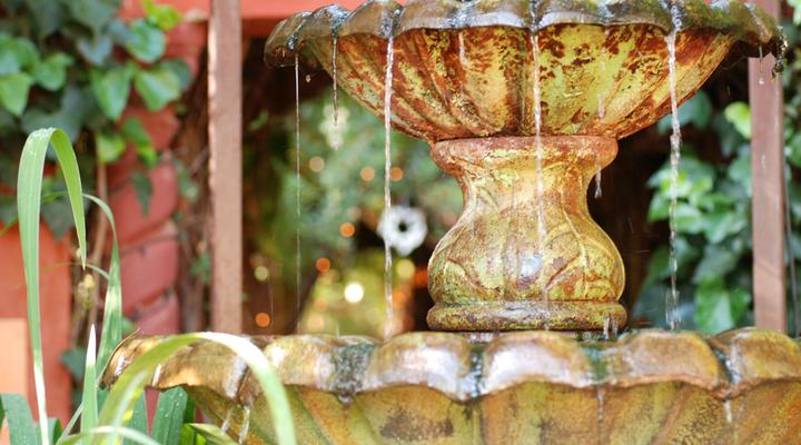 Duck & Dine Guesthouse