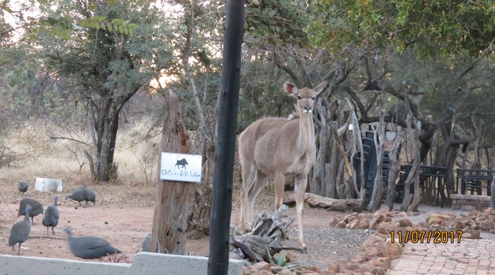 Chill-'n-Biki Lodge Mabalingwe