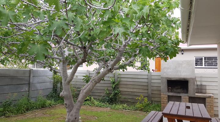 Swartberg Street Guest House