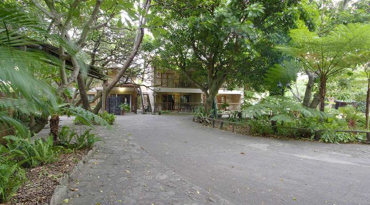 Treetops Self Catering Accommodation