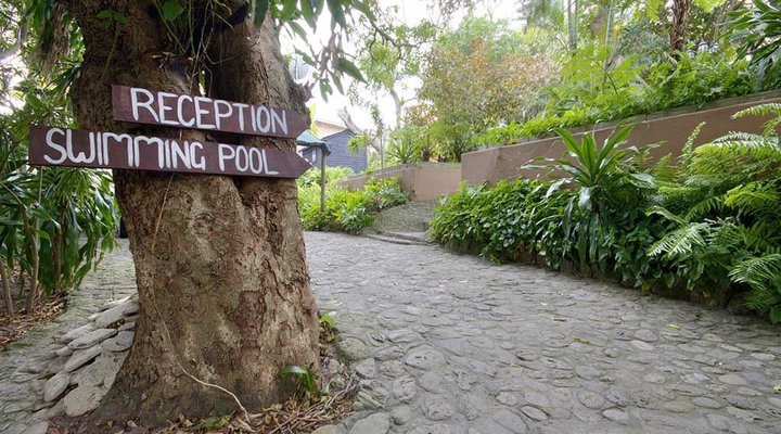 Treetops Self Catering Accommodation