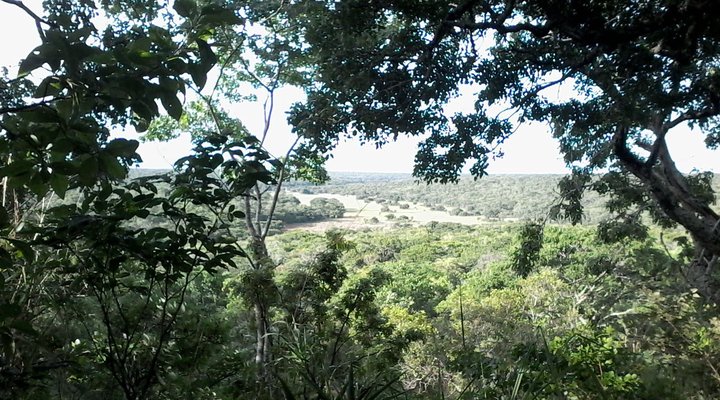 Mutinondo Wilderness