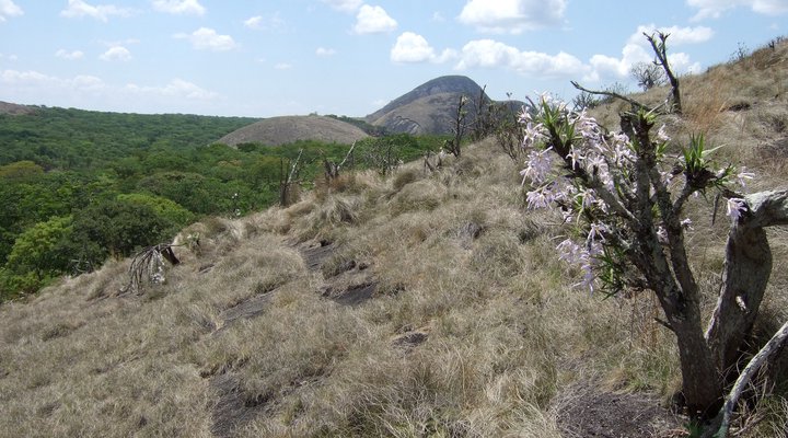 Mutinondo Wilderness