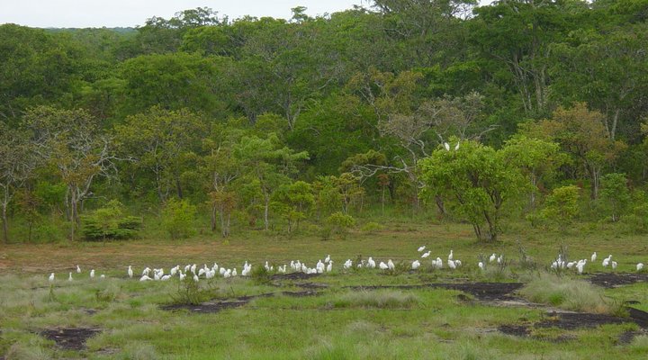 Mutinondo Wilderness