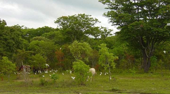 Mutinondo Wilderness