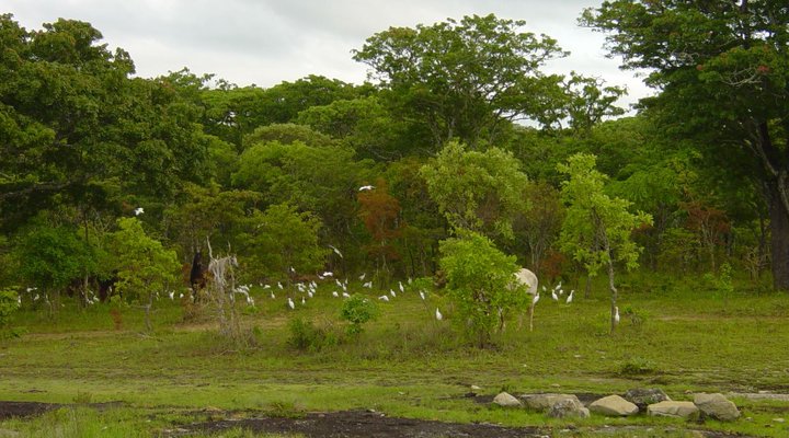 Mutinondo Wilderness
