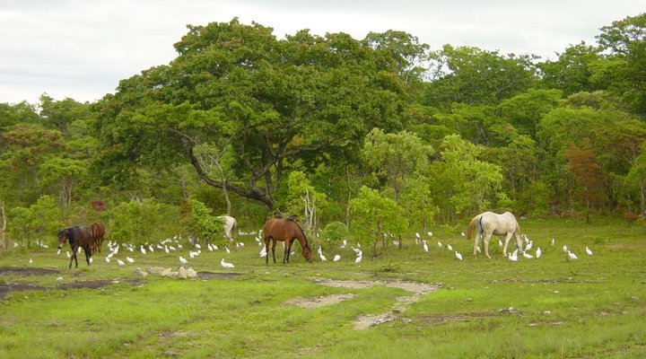 Mutinondo Wilderness