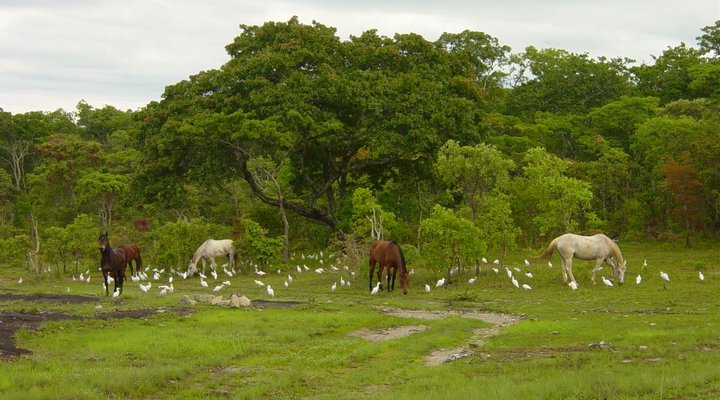 Mutinondo Wilderness
