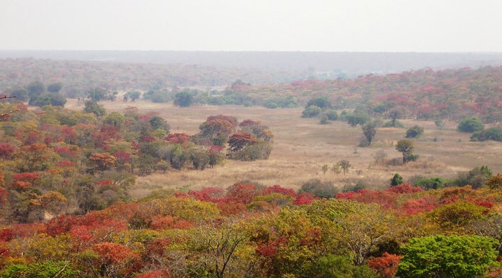 Mutinondo Wilderness