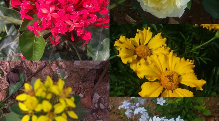 Philo Leisure Gardens - Kalangala