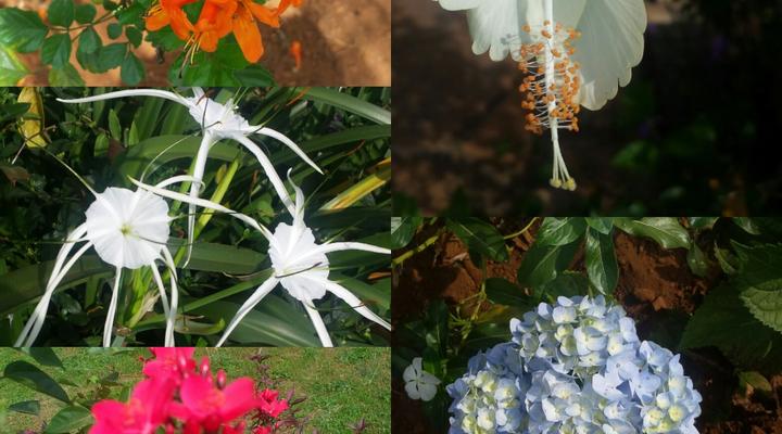 Philo Leisure Gardens - Kalangala