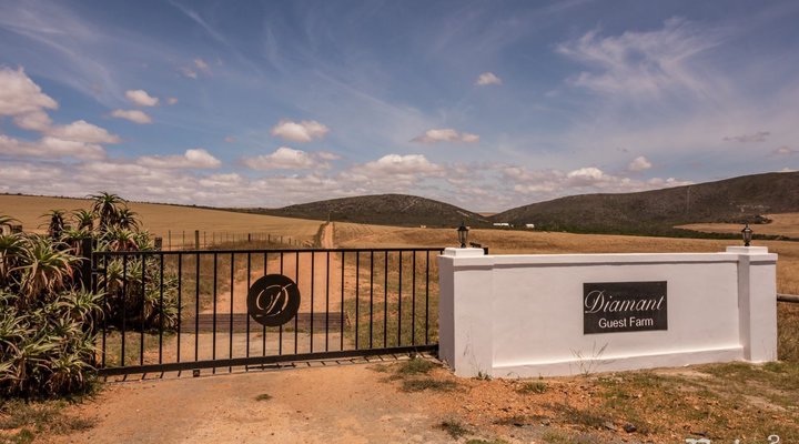 Diamant Farmhouse