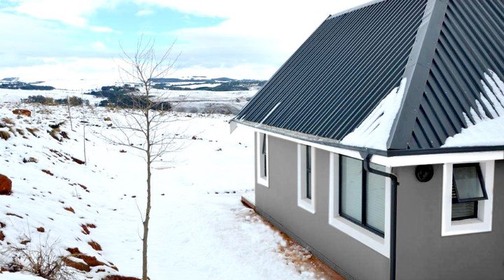 10 Woodridge Forest