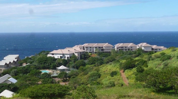 16 Tamboti