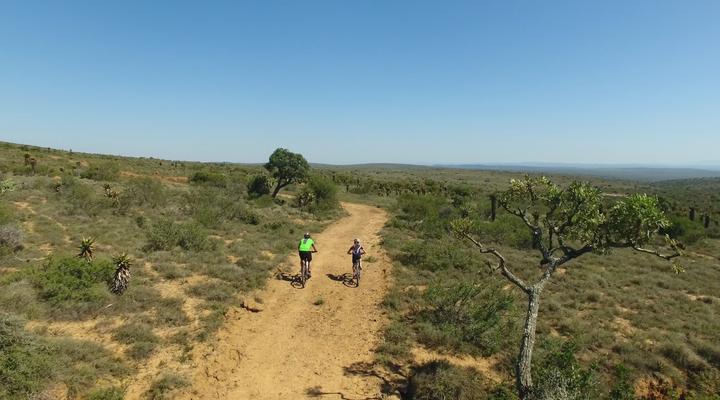 Copper Moon Game Lodge