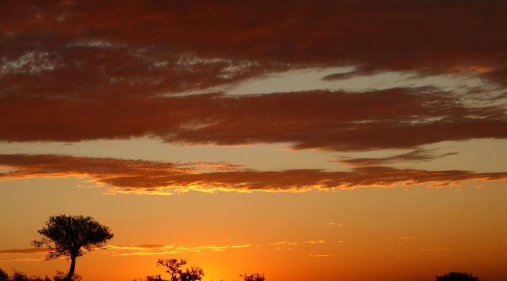 Copper Moon Game Lodge