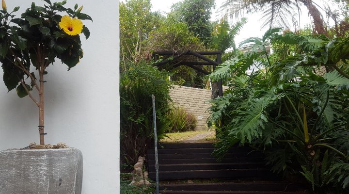 Seagulls Nest Bed and Breakfast