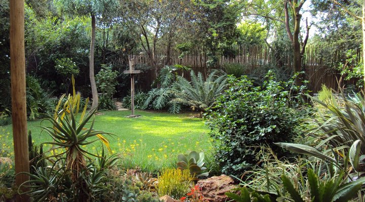 Bit O'Bush Accommodation