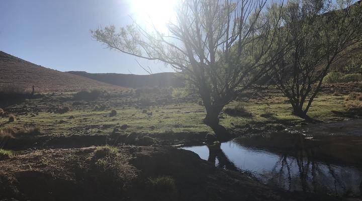Lammergeier Private Nature Reserve