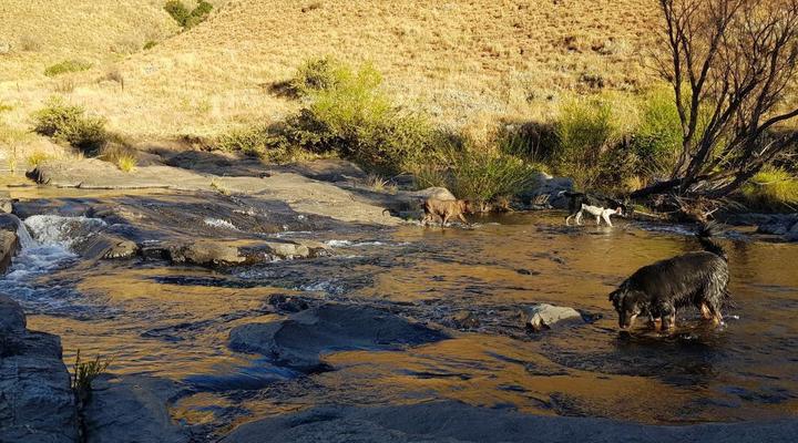 Lammergeier Private Nature Reserve