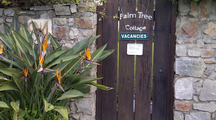 Palm Tree Cottage