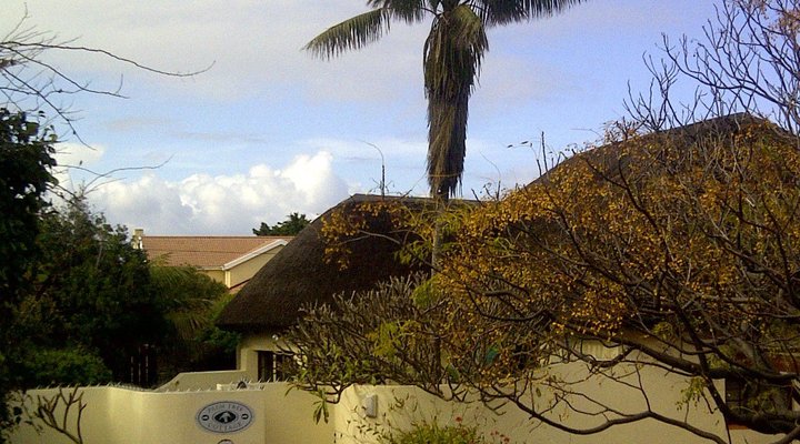 Palm Tree Cottage