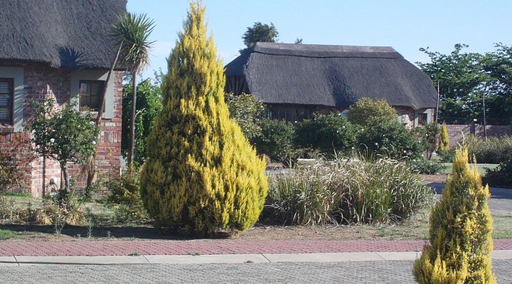 Gaggle Inn