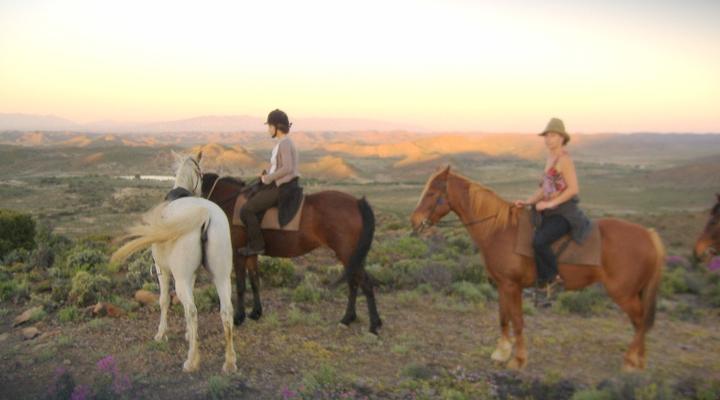 Wurth-It Artists' Home