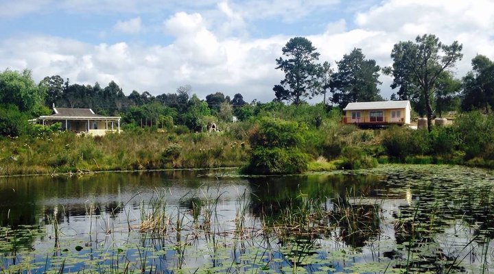 Tree Spirit Cottages