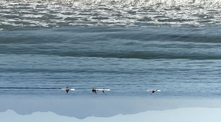 Oceans Drift Guest House