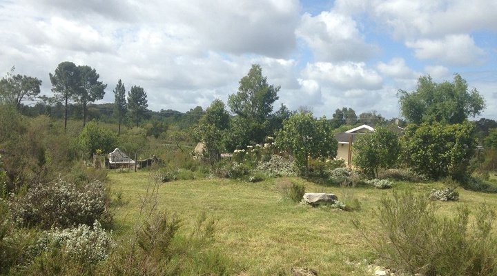 Tree Spirit Cottages