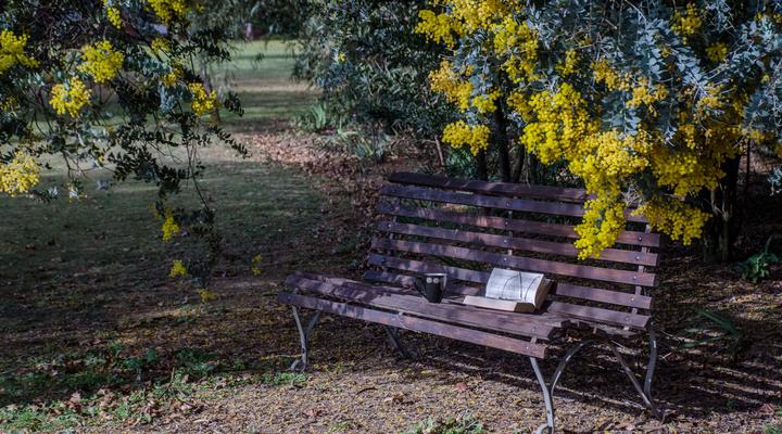 Ancient Windmill Guesthouse and Conference Centre