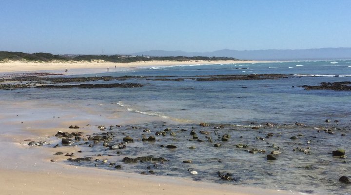 No 8 @ Blues Bay