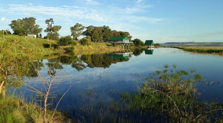 Grey Goose Game Lodge