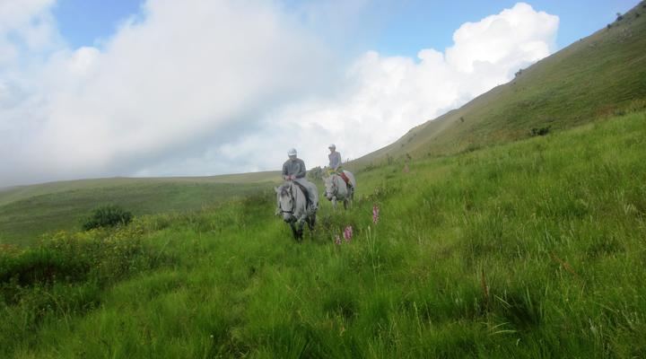 The Bed in the Shed at Stormy Hill