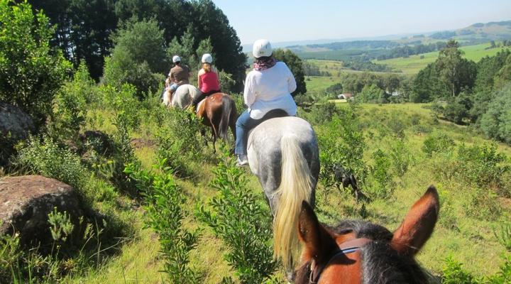 The Bed in the Shed at Stormy Hill