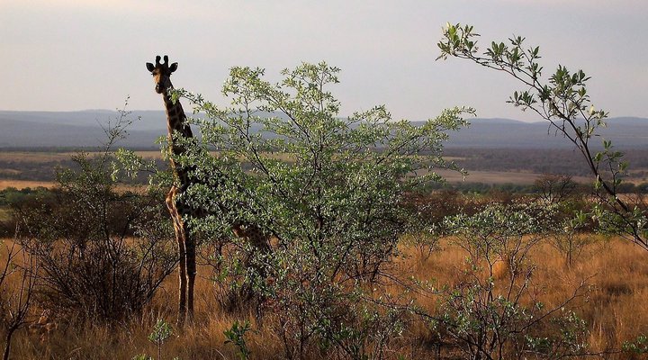 Shakati Private Game Reserve