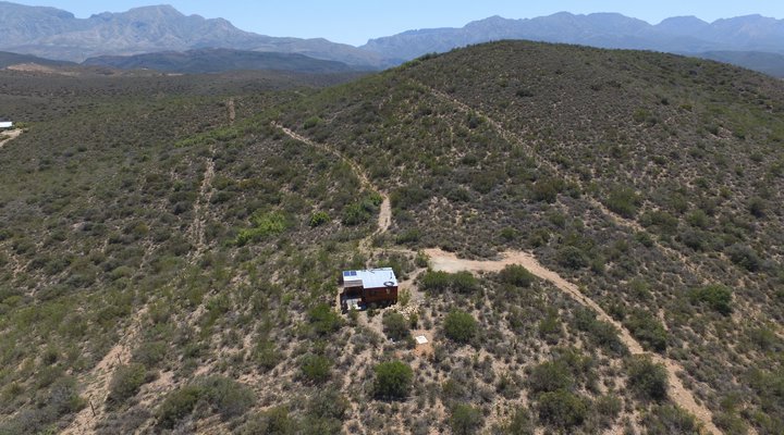 The Travelling Tortoise