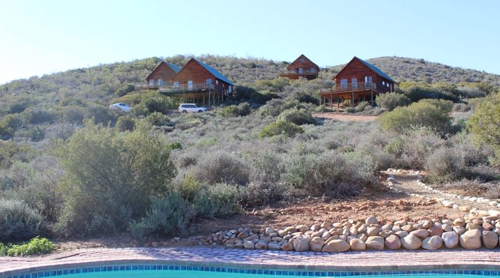 The Travelling Tortoise