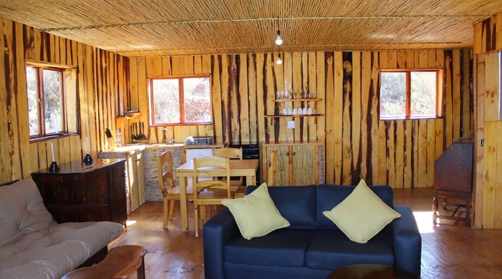 The Travelling Tortoise