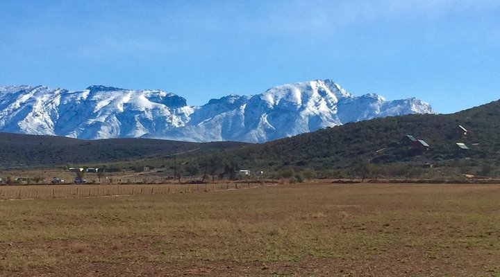 The Travelling Tortoise