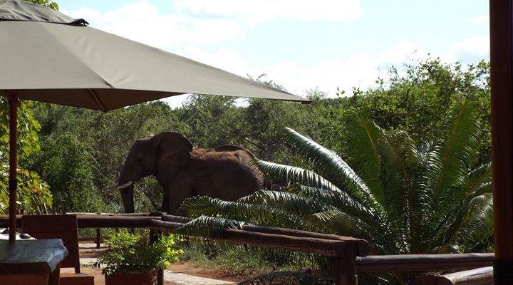 3 Nights 2pax Safari Package