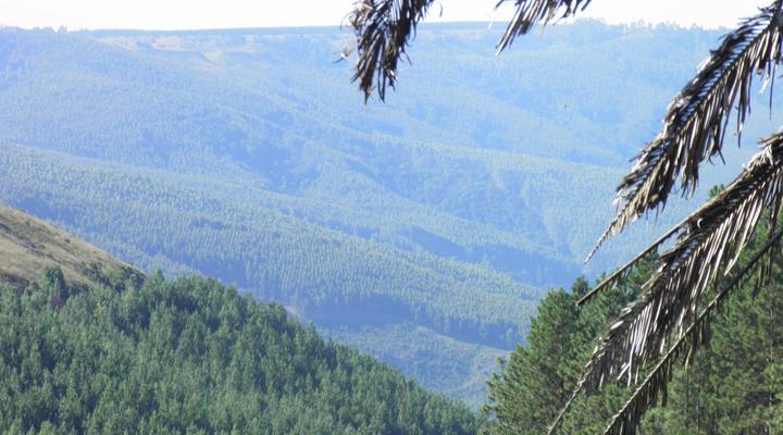 Sacred Space Retreat Studio Room