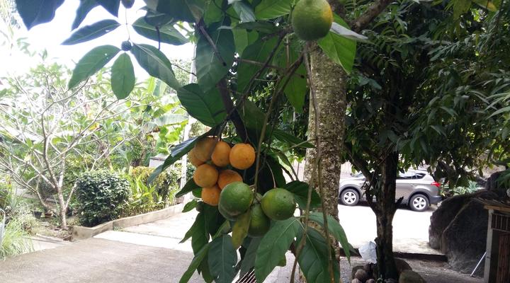 Belle Montagne Holiday