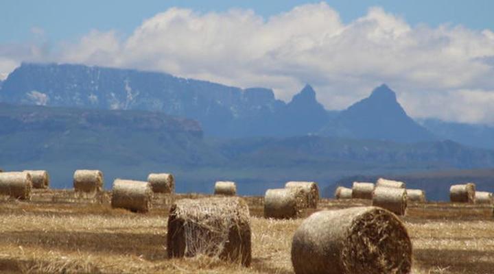 Winterton Accommodation