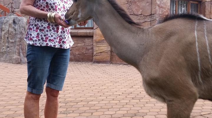 Chipiwa - Kranspoort vakansiedorp