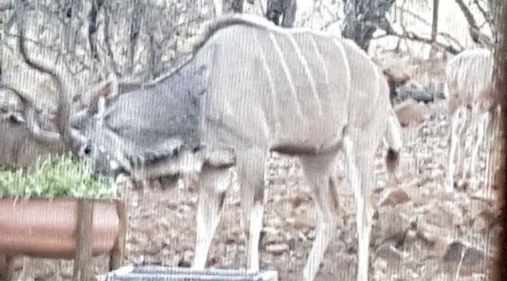 Chipiwa - Kranspoort vakansiedorp