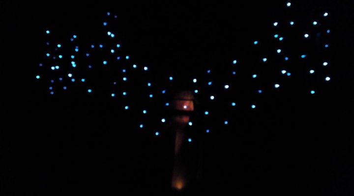 Yellowood Accommodation