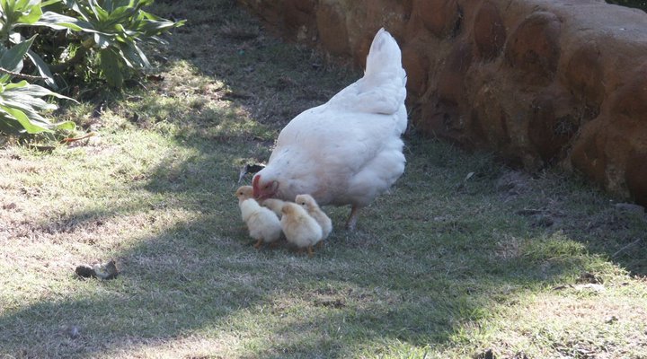 Zonnekus Holiday Resort and Caravan Park