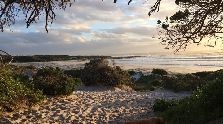 Scarborough Beach House